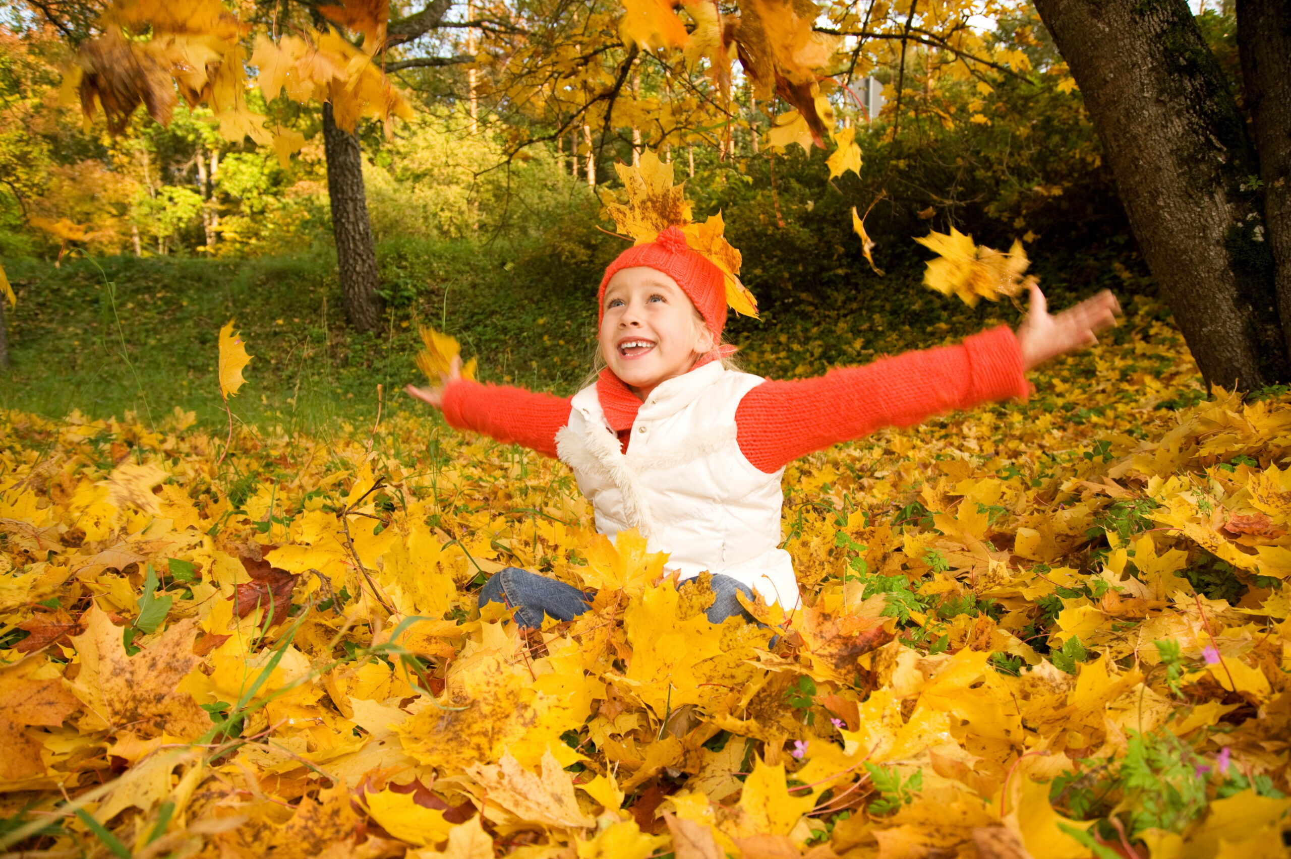 Ach wie schön der Herbst