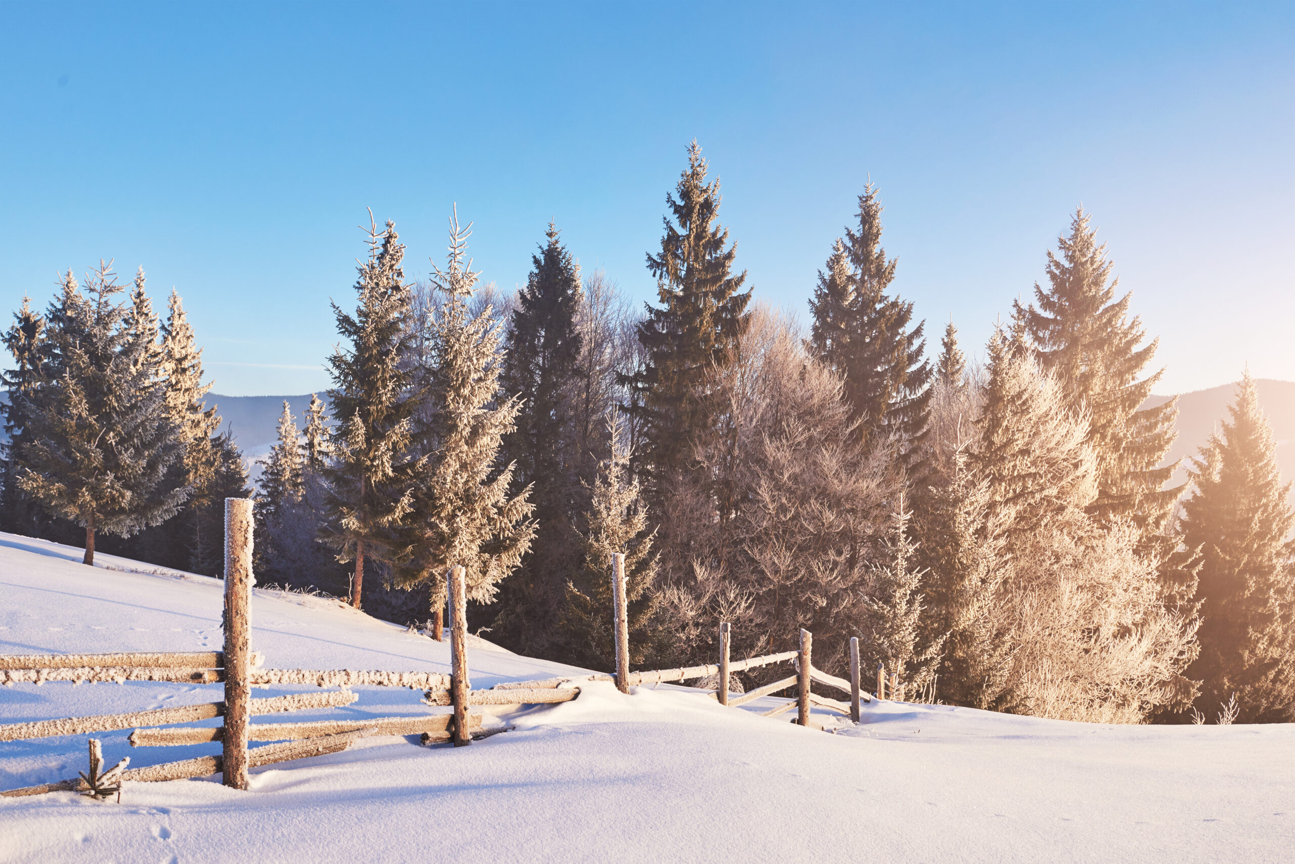 Der Winter – eine besonders schöne Jahreszeit