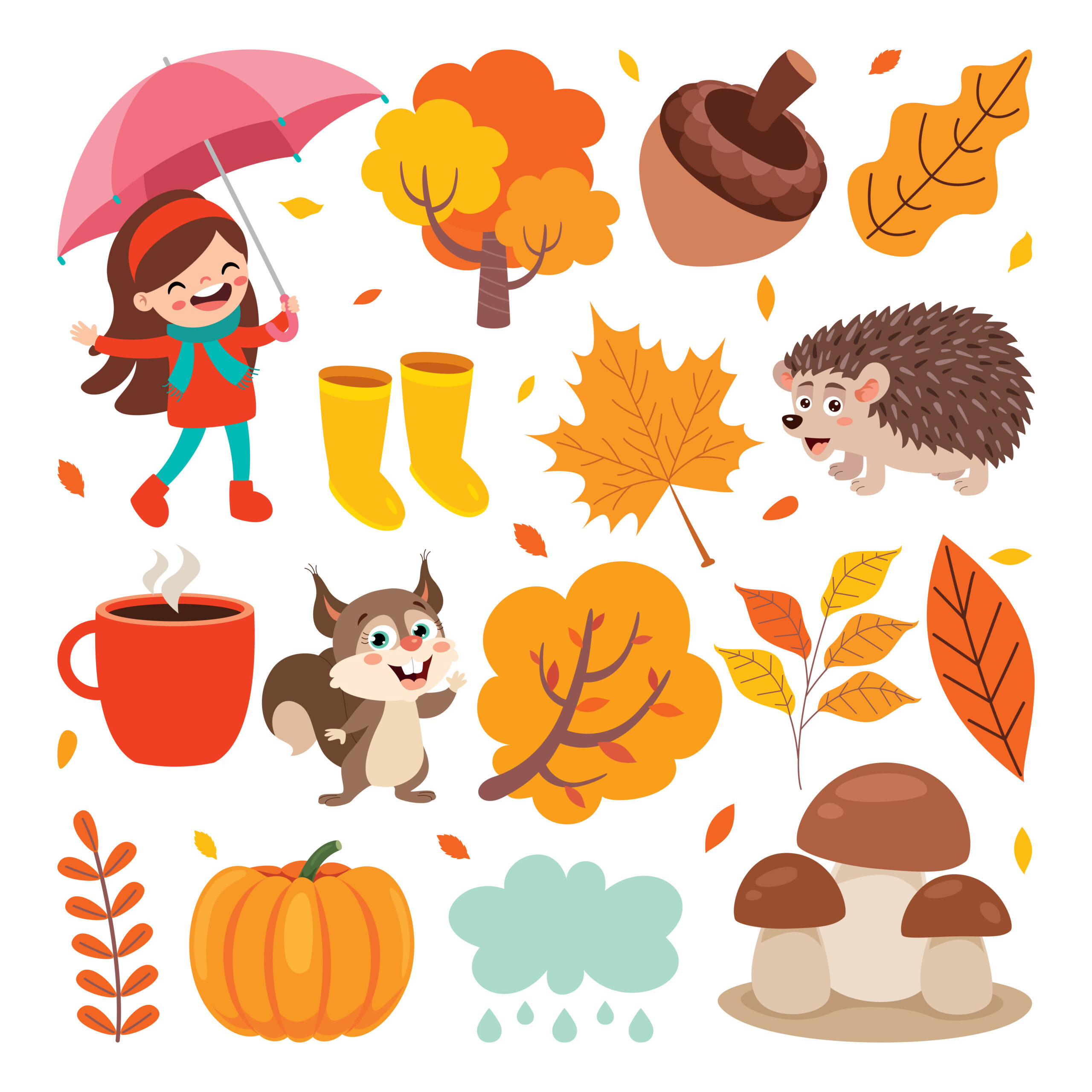 Herbst-Suchsel
