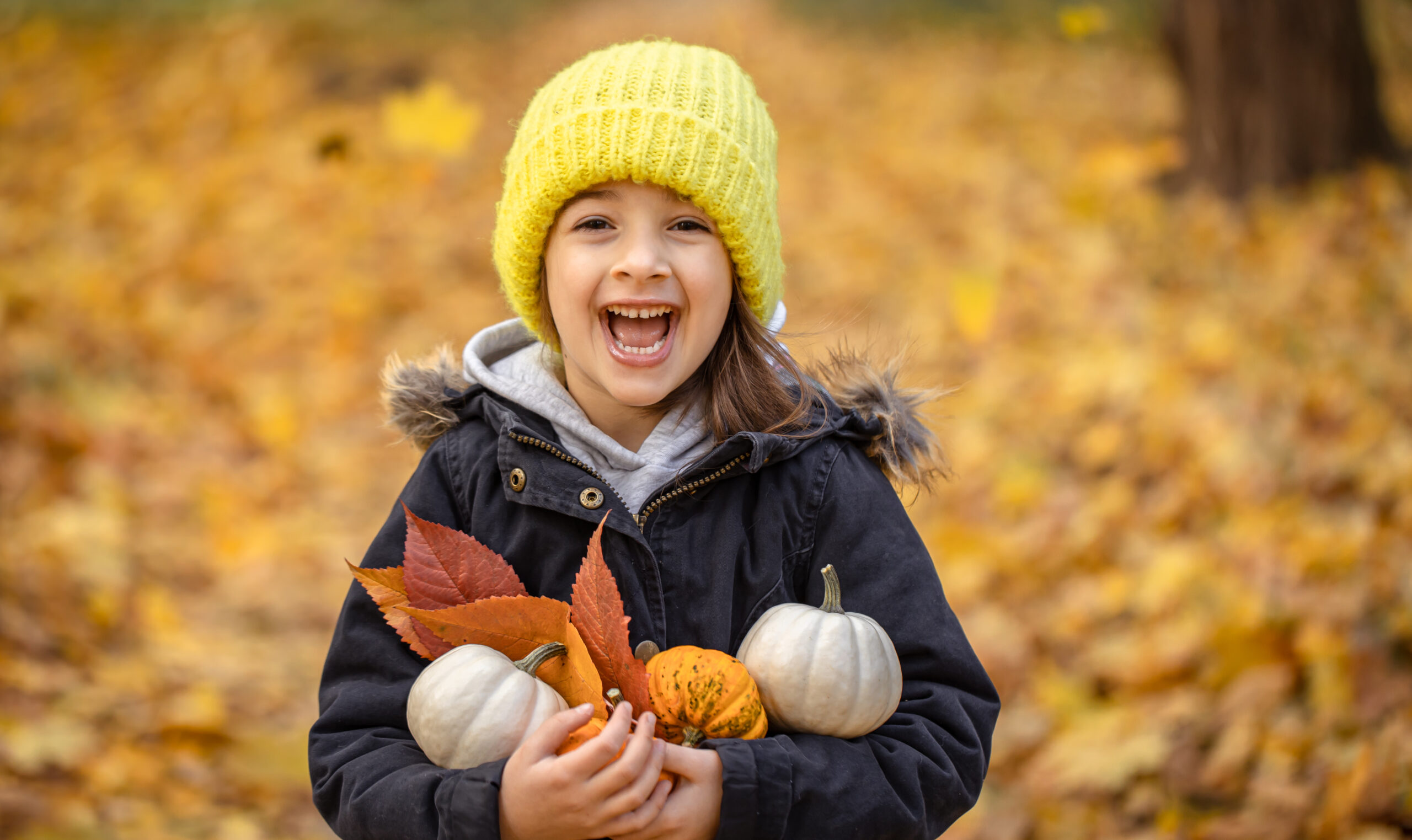 So schön ist der Herbst!