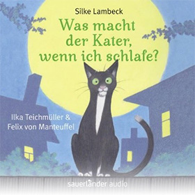 Was macht der Kater, wenn ich schlafe?