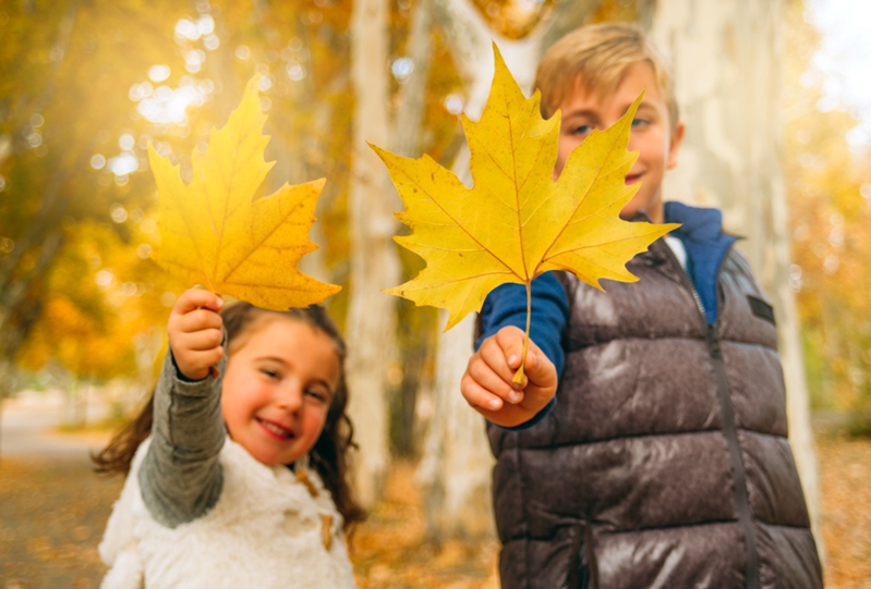 Der Herbst steht vor der Tür!